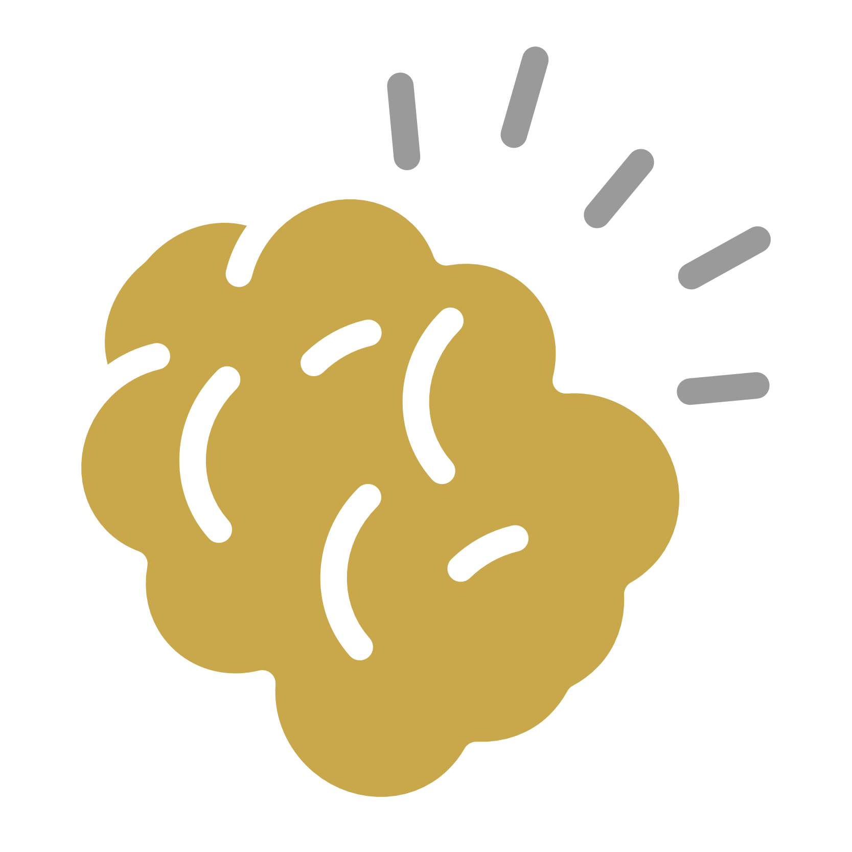 Traumatic brain injuries Icon